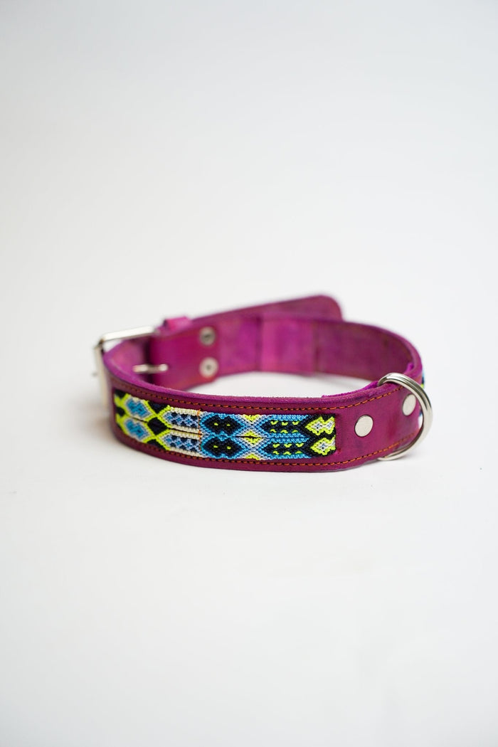 Idee regalo originali per chi ha un cane