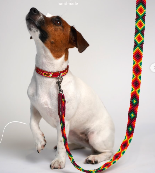 Set Completo Mexican