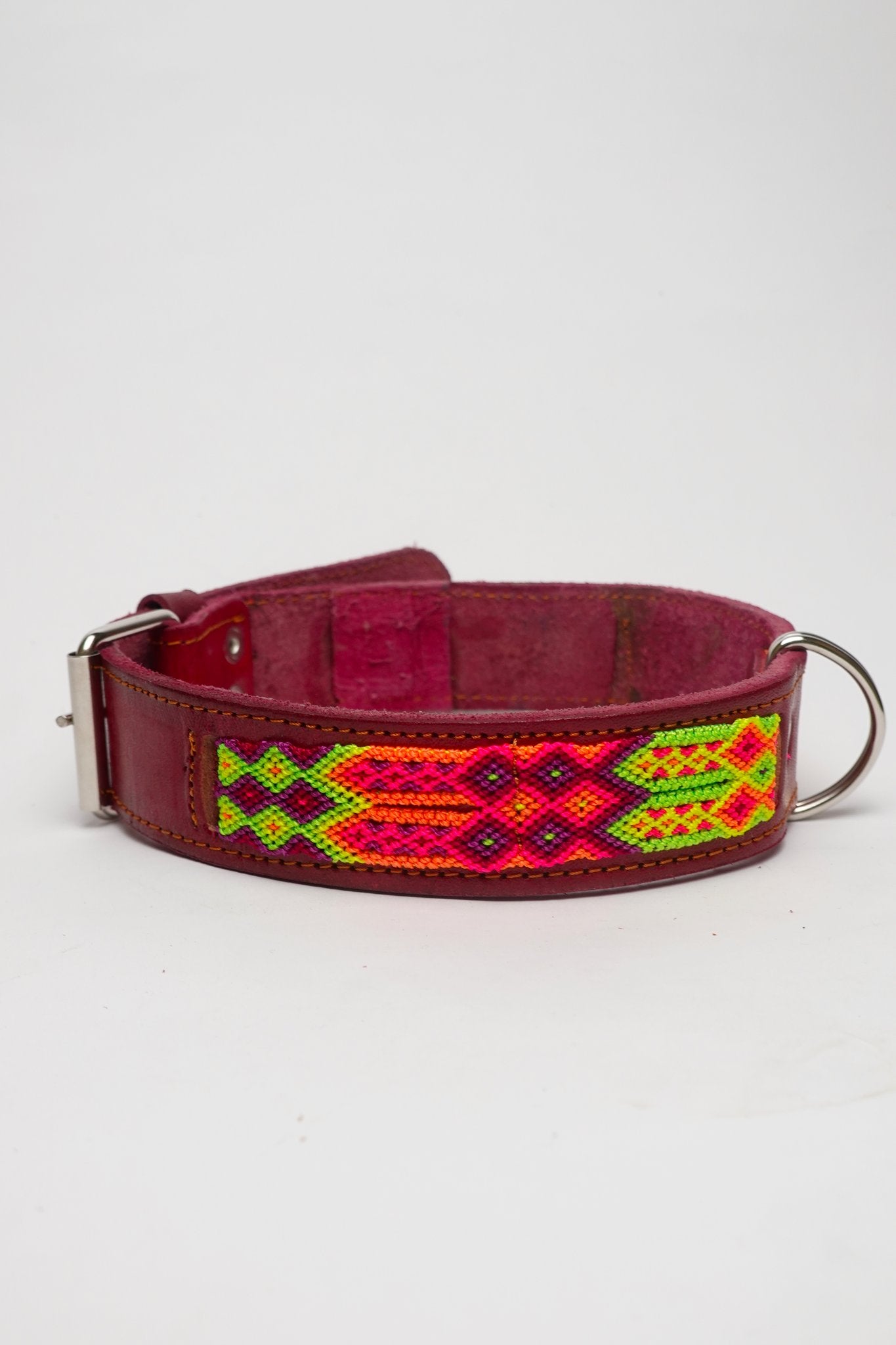 Allègresse - Collare Cane Maxi - 60cm - Maison Canina