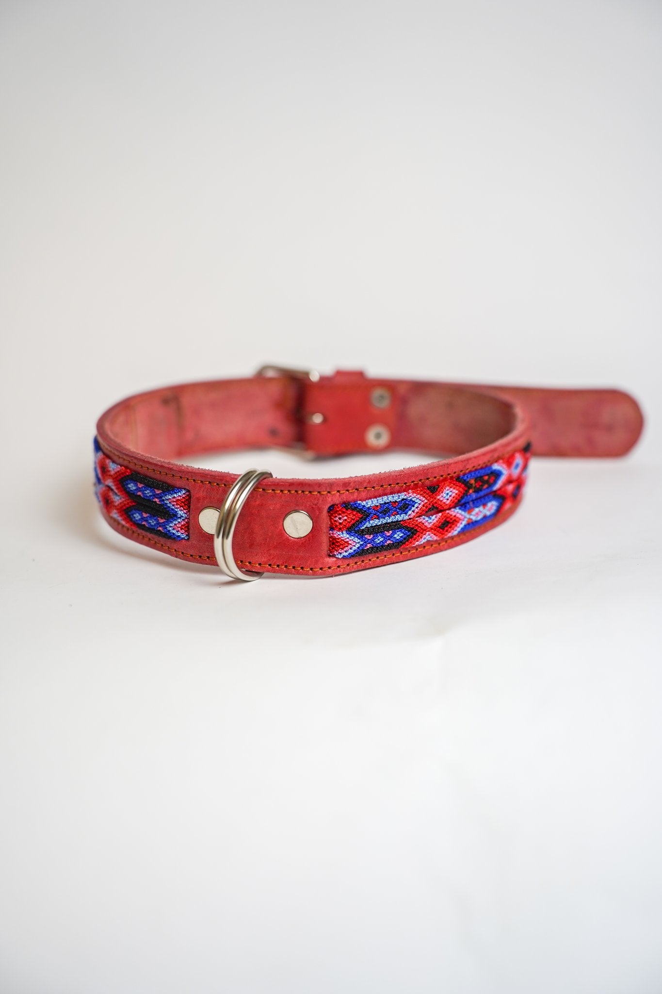 Allègresse - Collare Cane Maxi - 70cm - Maison Canina
