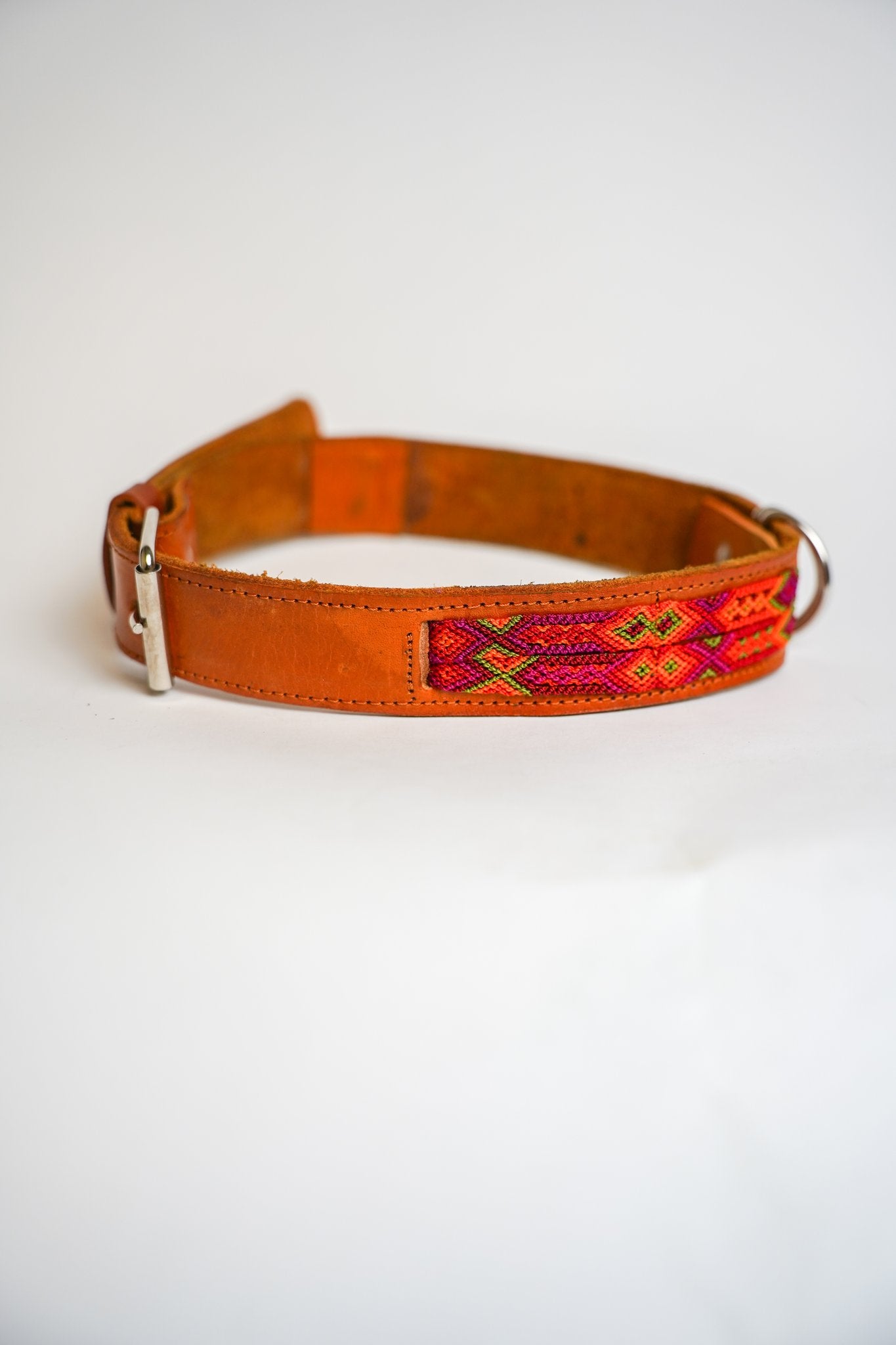Allègresse - Collare Cane Maxi - 70cm - Maison Canina
