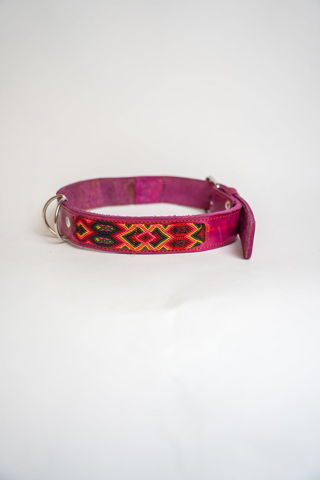 Allègresse - Collare Cane Maxi - 65cm - Maison Canina