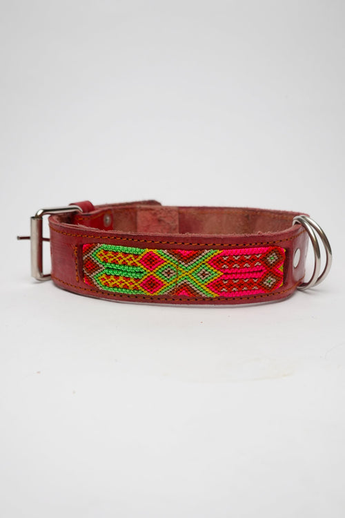 Allègresse - Collare Cane Maxi - 55cm - Maison Canina