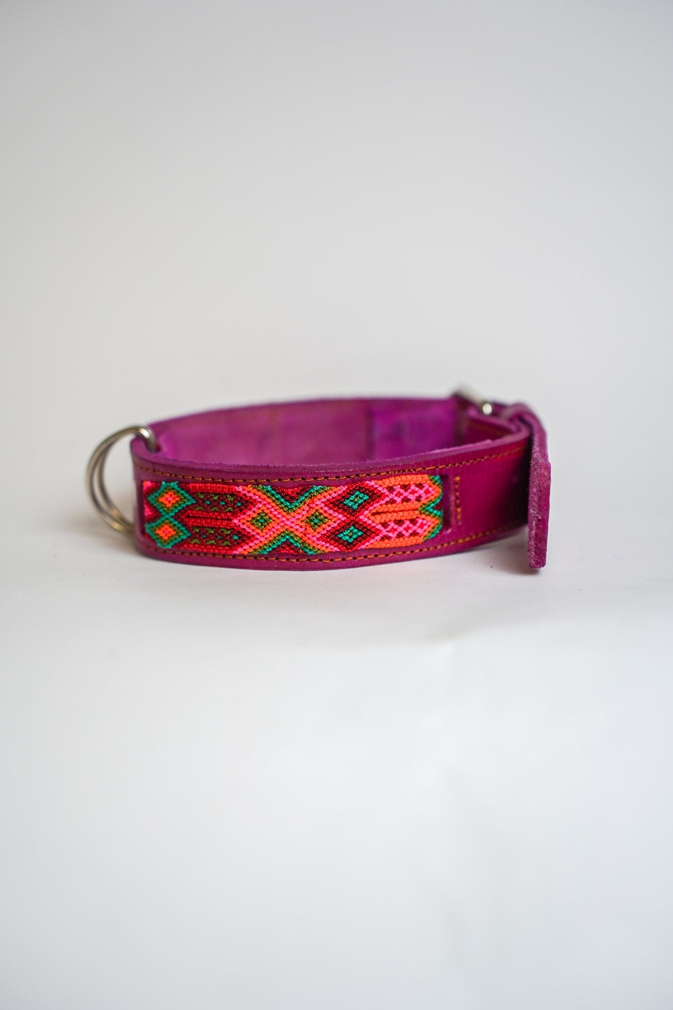 Allègresse - Collare Cane Maxi - 55cm - Maison Canina