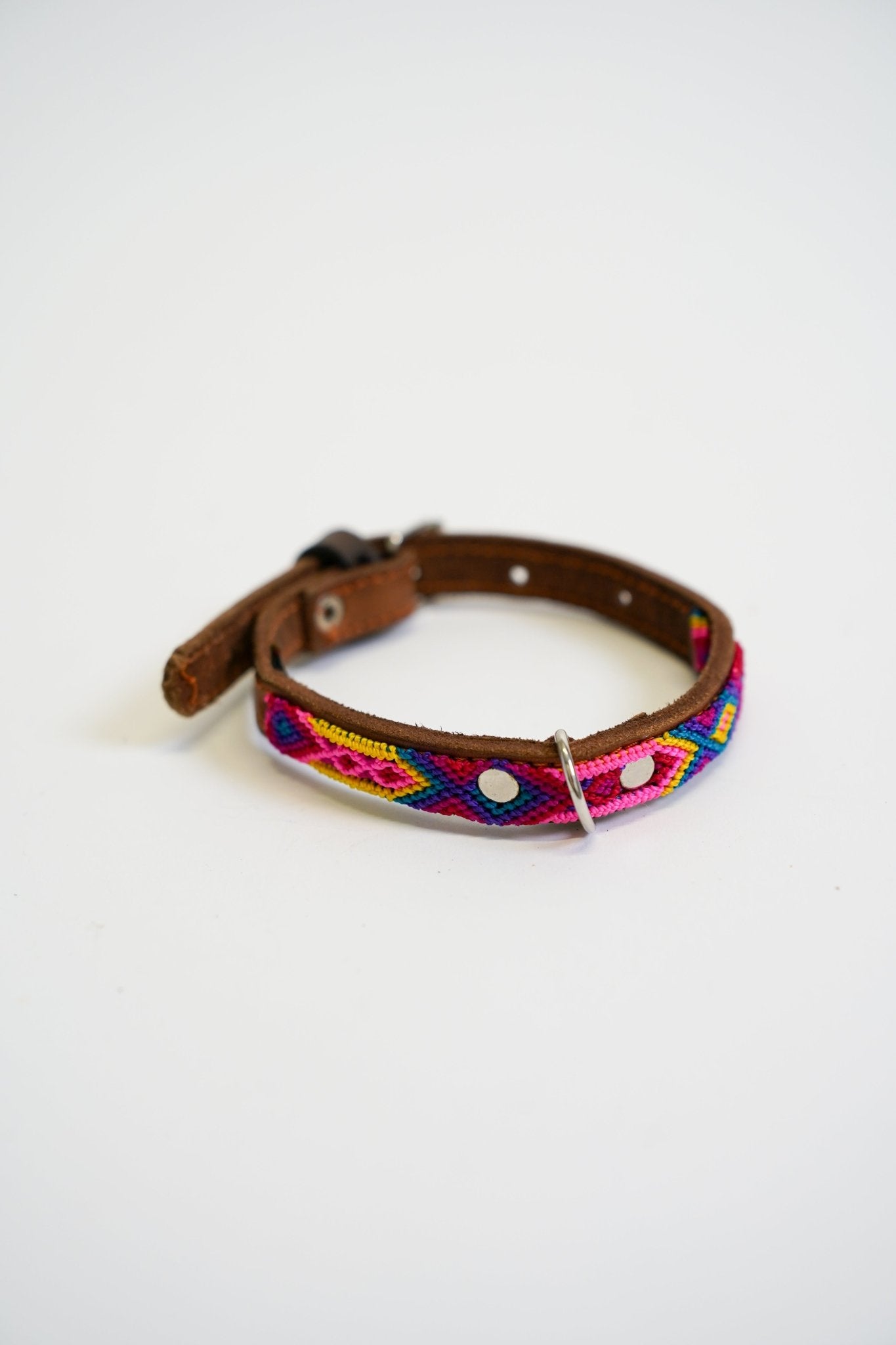 Allegance - Collare Cane Mini - 30cm - Maison Canina