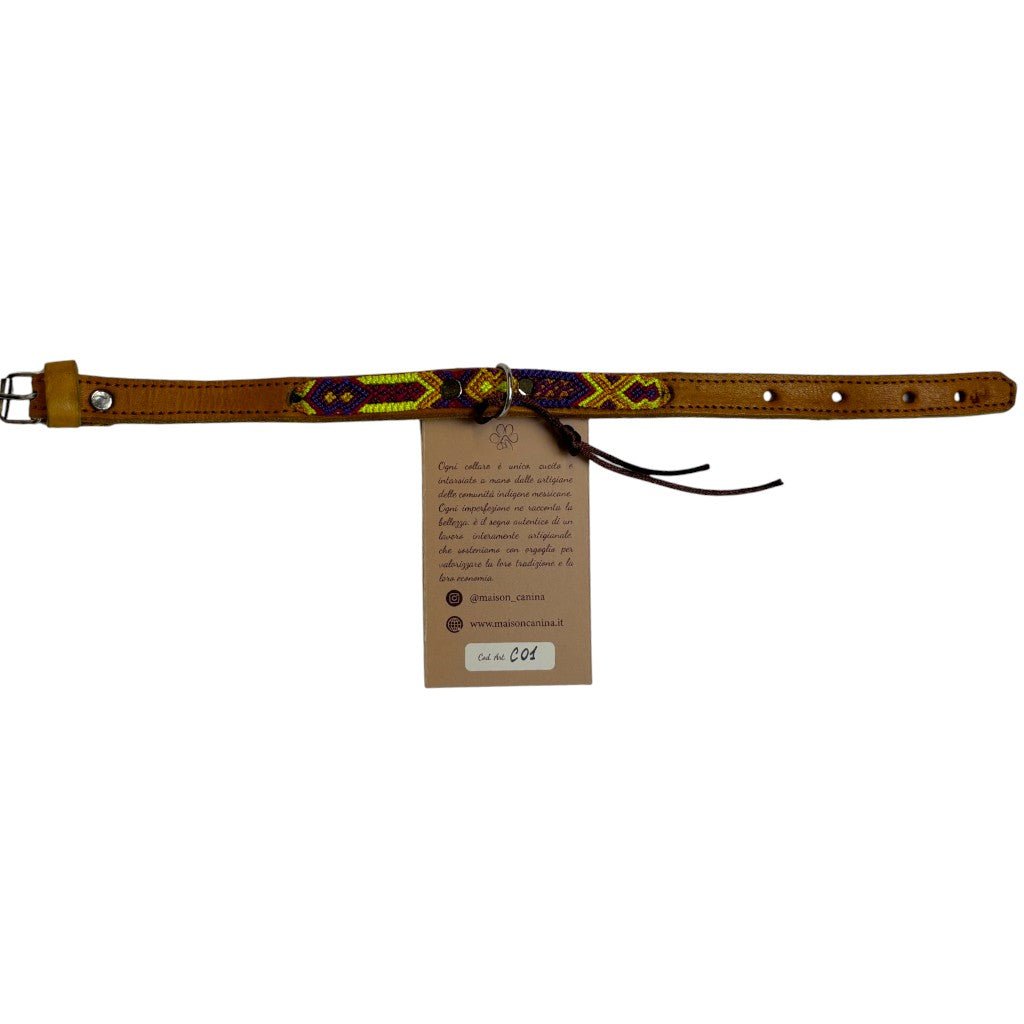 Allegance - Collare Cane Mini - 35cm - Maison Canina