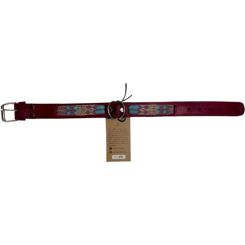 Allègresse - Collare Cane Maxi - 55cm - Maison Canina