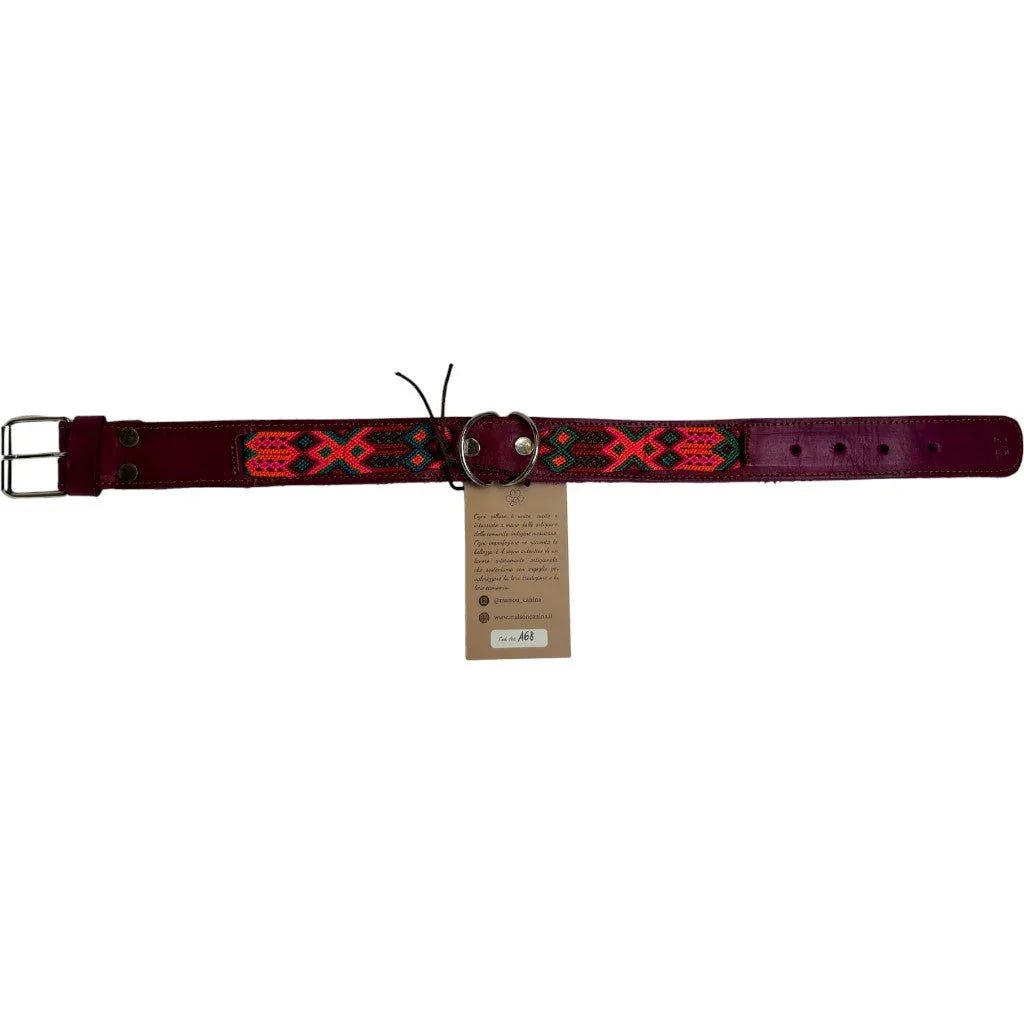 Allègresse - Collare Cane Maxi - 55cm - Maison Canina