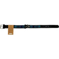 Allègresse - Collare Cane Maxi - 60cm - Maison Canina