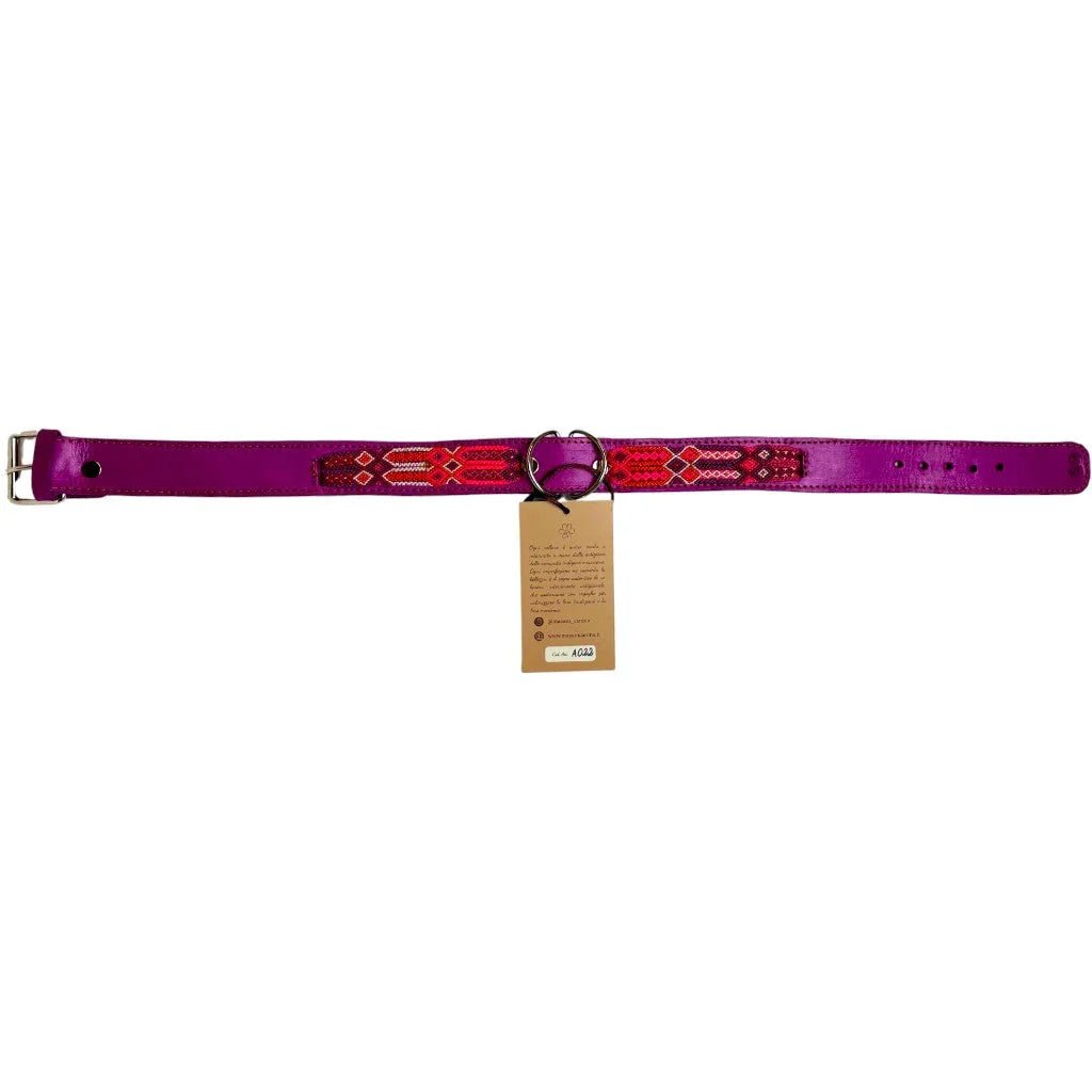 Allègresse - Collare Cane Maxi - 60cm - Maison Canina