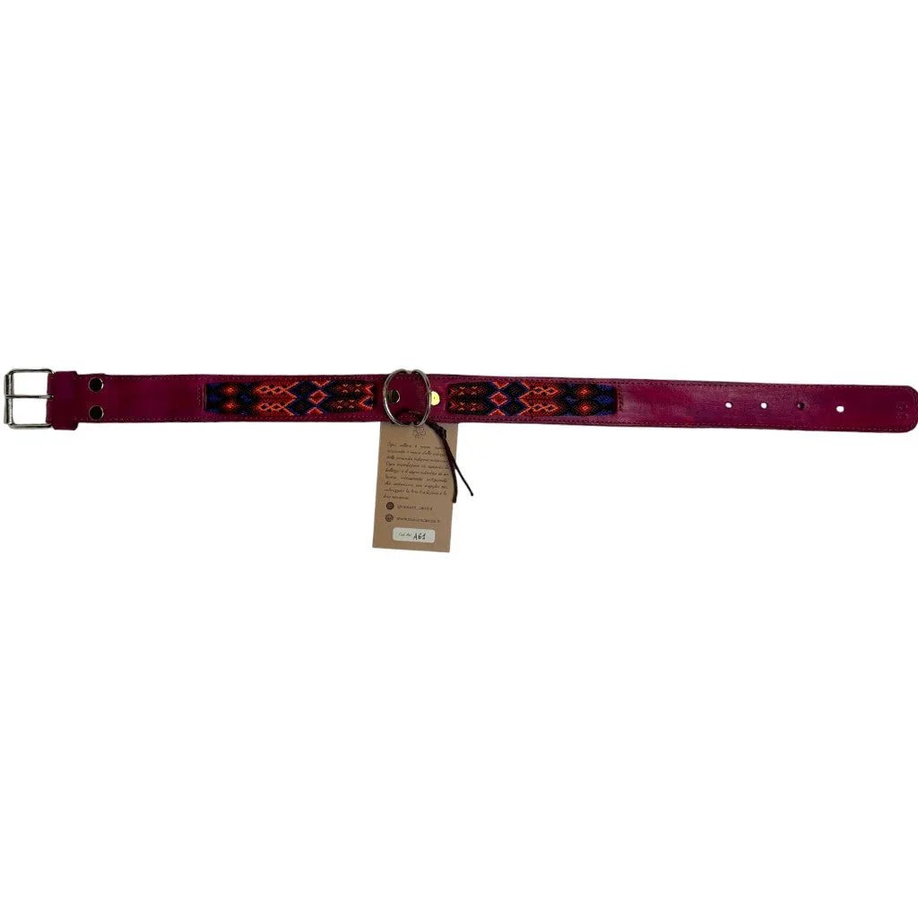 Allègresse - Collare Cane Maxi - 65cm - Maison Canina