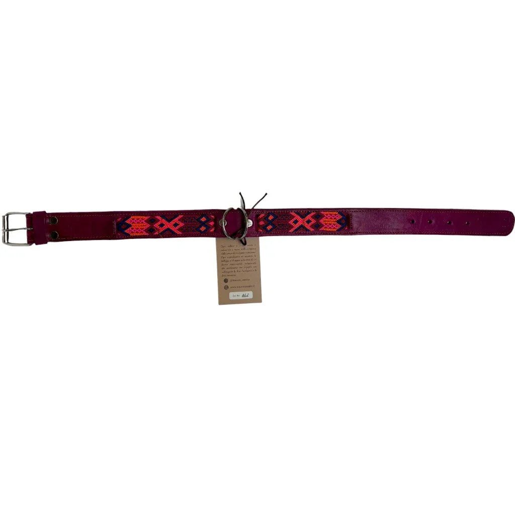 Allègresse - Collare Cane Maxi - 65cm - Maison Canina