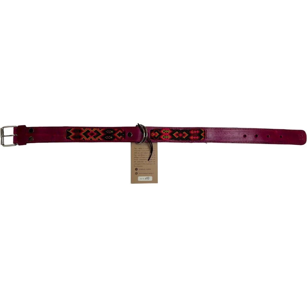 Allègresse - Collare Cane Maxi - 65cm - Maison Canina