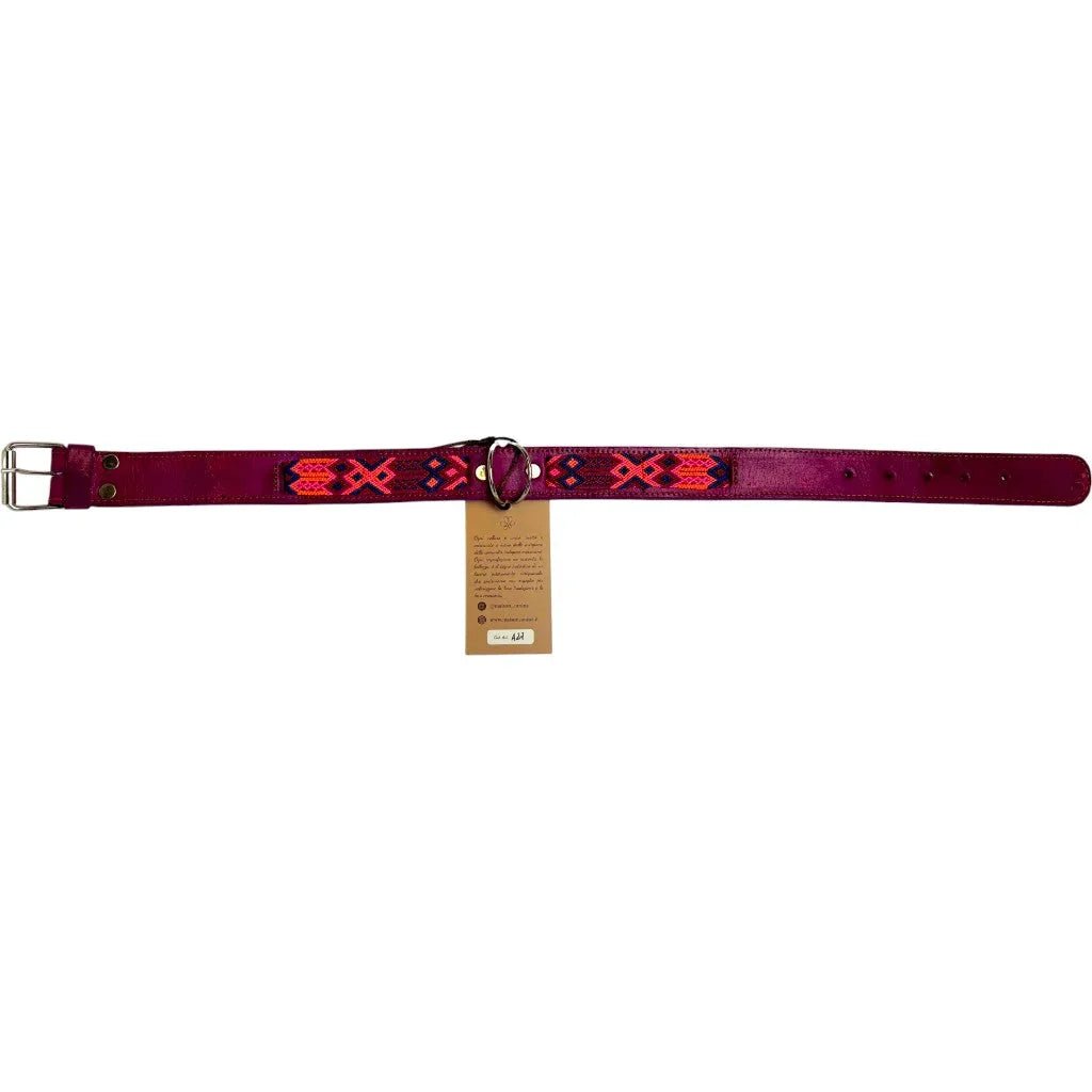 Allègresse - Collare Cane Maxi - 70cm - Maison Canina