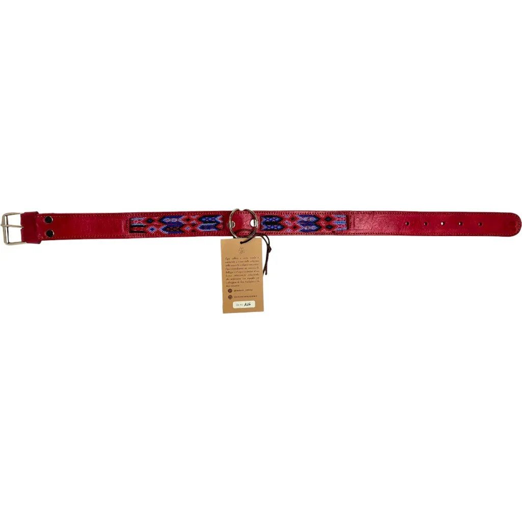 Allègresse - Collare Cane Maxi - 70cm - Maison Canina