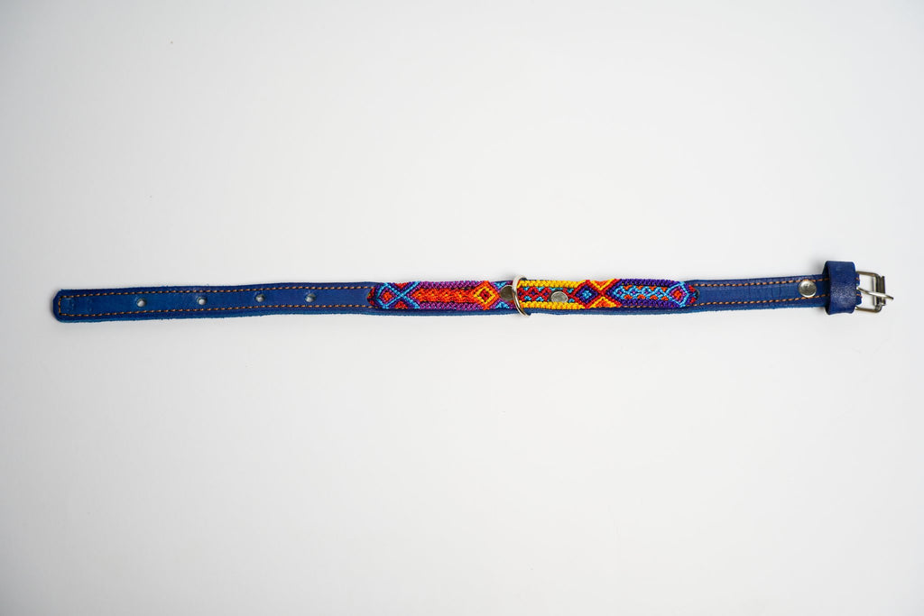 Allegance - Collare Cane Mini - 35cm – collare per cani in pelle artigianale messicana fatto a mano