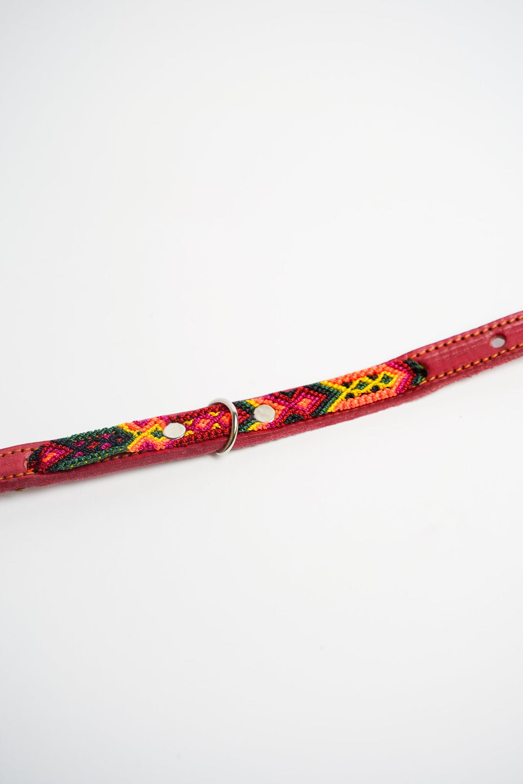Allegance - Collare Cane Mini - 35cm – collare per cani in pelle artigianale messicana fatto a mano