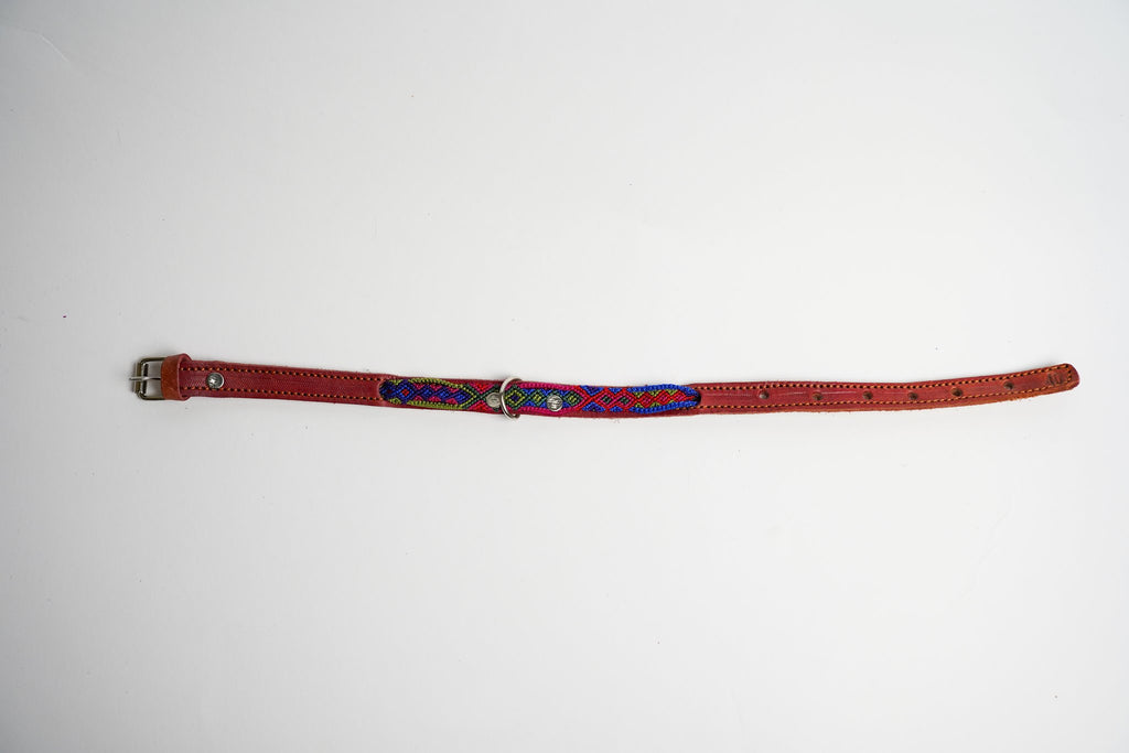 Allegance - Collare Cane Mini - 40cm – collare per cani in pelle artigianale messicana fatto a mano