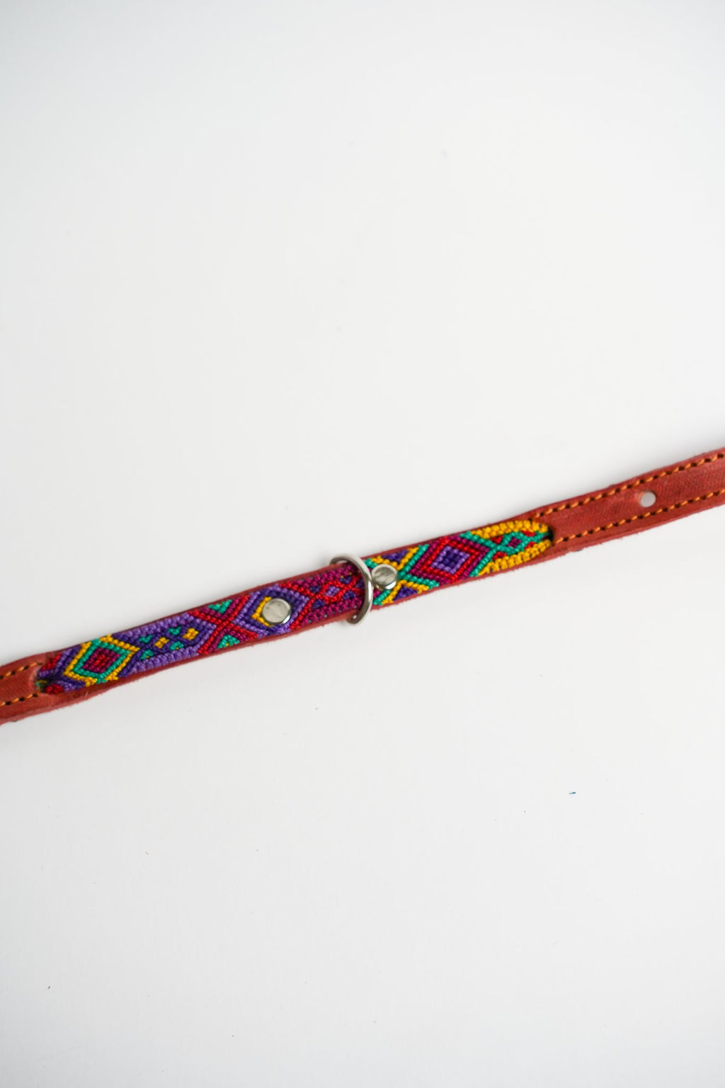 Allegance - Collare Cane Mini - 40cm – collare per cani in pelle artigianale messicana fatto a mano